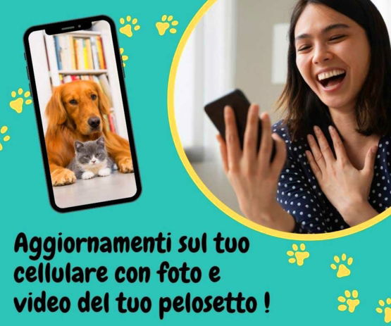 donna-guarda-cane-sul-cellulare-petsitterroma.com